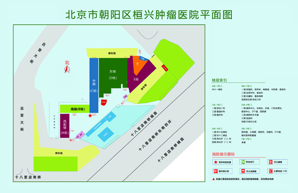 啊啊啊骚逼好痒视频北京市朝阳区桓兴肿瘤医院平面图